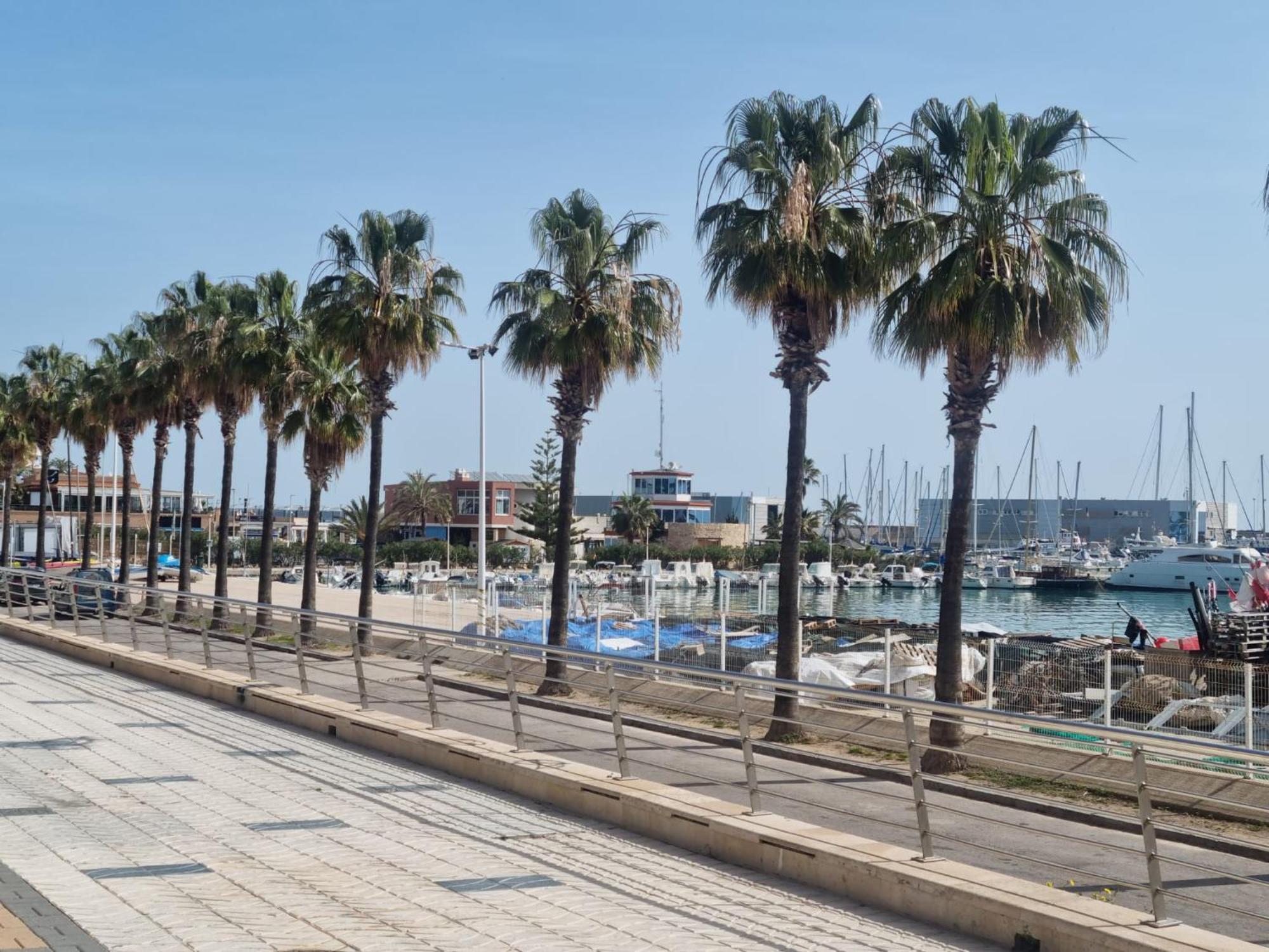 Benicarló Apartamento Puerto-Elmar מראה חיצוני תמונה